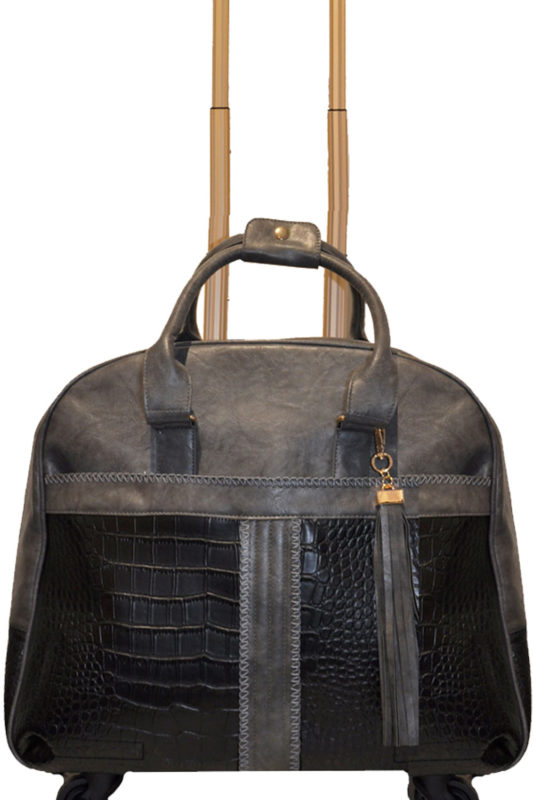 4 wheel travel case