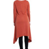 rust high low cut out tunic top- back