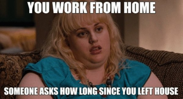 wfh work from home meme